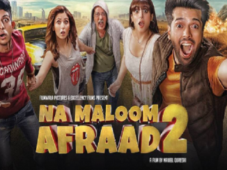 Na Maloom Afraad 2 (2017) Urdu 480p HDRip x264 AAC – 350 MB