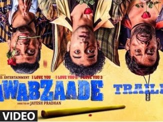 Nawabzaade (2018) v2 Hindi pDVDRip x264 700MB