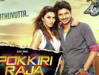 Pokkiri Raja (2016) Hindi 480p WEB-HDRip x264 AAC 380MB