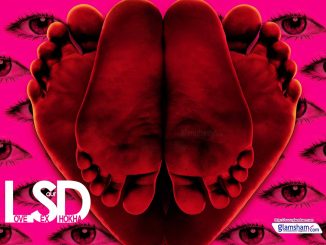 LSD: Love, Sex Aur Dhokha (2010) 480p Hindi WEB-HDRip x264 350MB