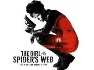 The Girl in the Spider Web (2018) 720p HEVC WEB-HDRip x265 [Dual Audio] [Hindi (Cleaned) – English] – 550 MB