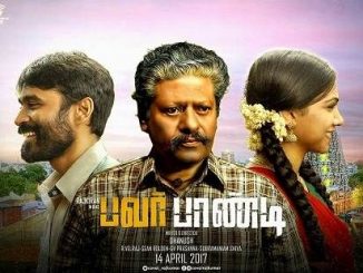 Pa Paandi (2017) 720p UNCUT HDRip x264 Eng Subs [Dual Audio] [Hindi DD 2.0 – Tamil 5.1] – 1.6 GB