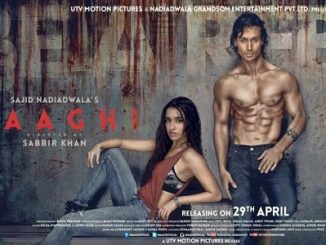 Baaghi (2016) Hindi 720p HEVC BluRay x265 AAC DD 2.0 – 650 MB
