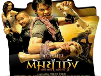 The Protector (2005) 720p HEVC BluRay Dual Audio [Hindi-Eng] x265 560MB