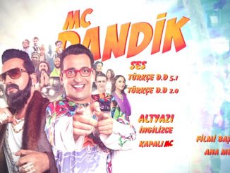 Mc Dandik (2013) 720p HEVC  WEB-HDRip Dual Audio [Hindi – Turkish] x265 500MB