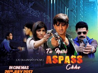 Tu Mari Ass Pas Che (2016) Gujarati 720p HEVC HDRip x265 AAC DD 2.0 – 600 MB