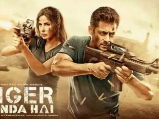 Tiger Zinda Hai (2017) 720p | 480p BluRay Hindi (DD 2.0) x264 1.4GB | 500MB