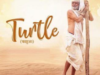 Turtle (2018) Hindi 720p HEVC WEB-HDRip x265 AAC DD 2.0 Esubs – 350 MB