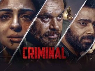 The Criminal (2022) Punjabi 720p | 480p Pre-DVDRip AAC DD 2.0 x264 950MB | 300MB